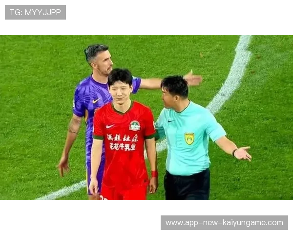 可笑，海港球迷竟认为被裁判针对，称泰山队在裁判保驾护航下拿到胜利
