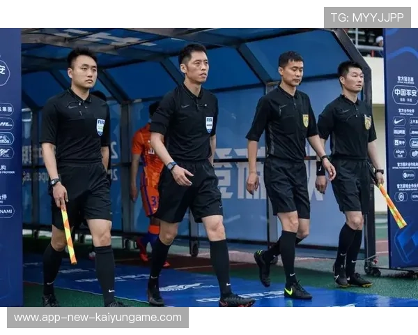 裁判员职业保障制度完善提高执法人员稳定性与积极性,裁判员执裁能力 裁判员职业保障制度完善提高执法人员稳定性与积极性,裁判员执裁能力